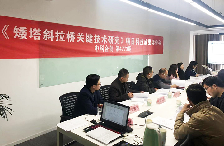 矮塔斜拉桥关键技术研究 anli.jpg